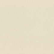 979374 СНЯТ обои Rasch / Ascona / 6 / Wall Textures XL Vol. 3