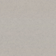 9256-23/Эра  / Era/EURODECOR/Россия/(1,06*10м обои винил, флизелин)