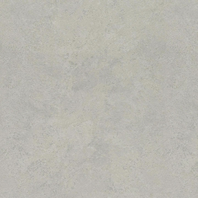 977134 СНЯТ обои Rasch / Metal Spirit / 6 / Wall Textures XL Vol. 3 фото
